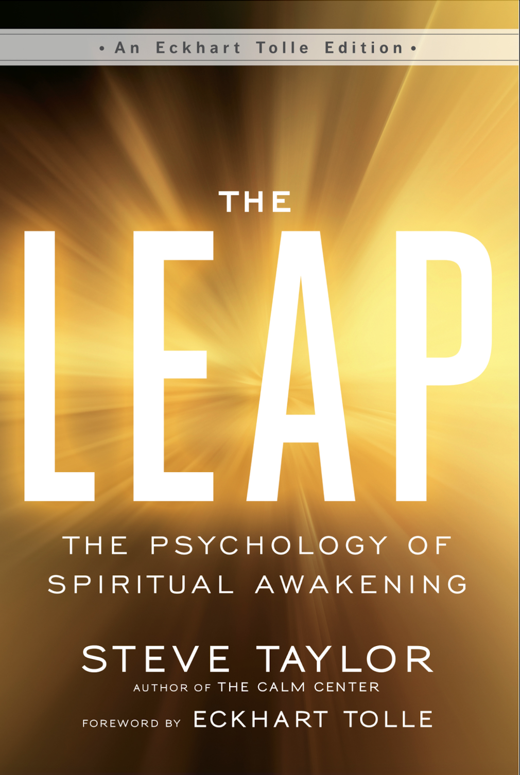 The Leap (by Steve Taylor)